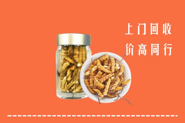 宁晋回收冬虫夏草